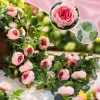 Decoración del hogar simulación flores de seda sala de estar dormitorio accesorios para el hogar belleza y moda accesorios de vida Application Scenario